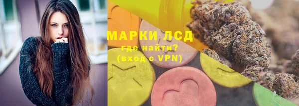 хмурый Вяземский