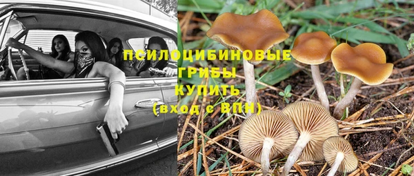 ALPHA-PVP Вязьма