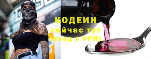 хмурый Вяземский