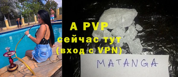 хмурый Вяземский