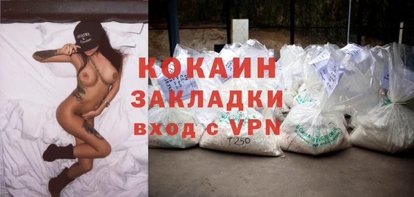 хмурый Вяземский