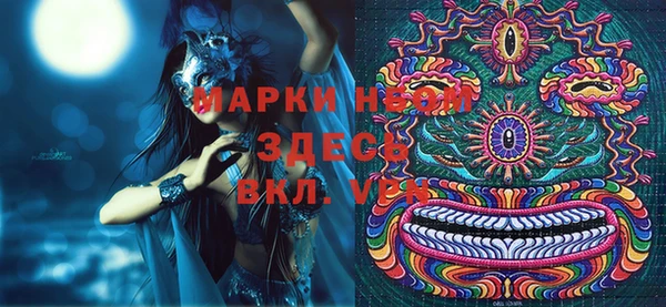 хмурый Вяземский