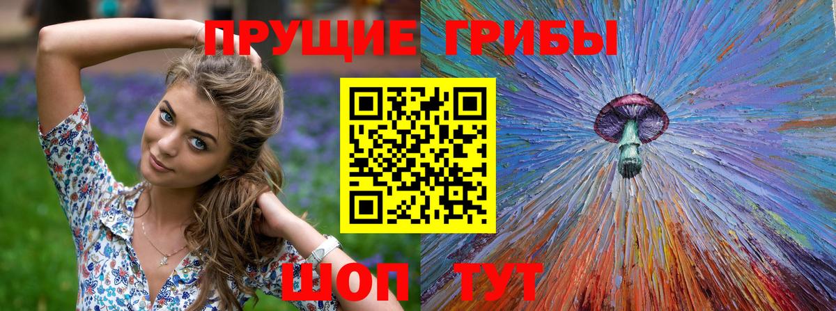 Галлюциногенные грибы мицелий Камышин