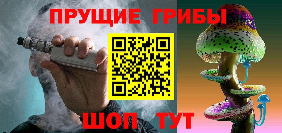 Галлюциногенные грибы Psilocybe  Камышин  Псилоцибиновые грибы мицелий 