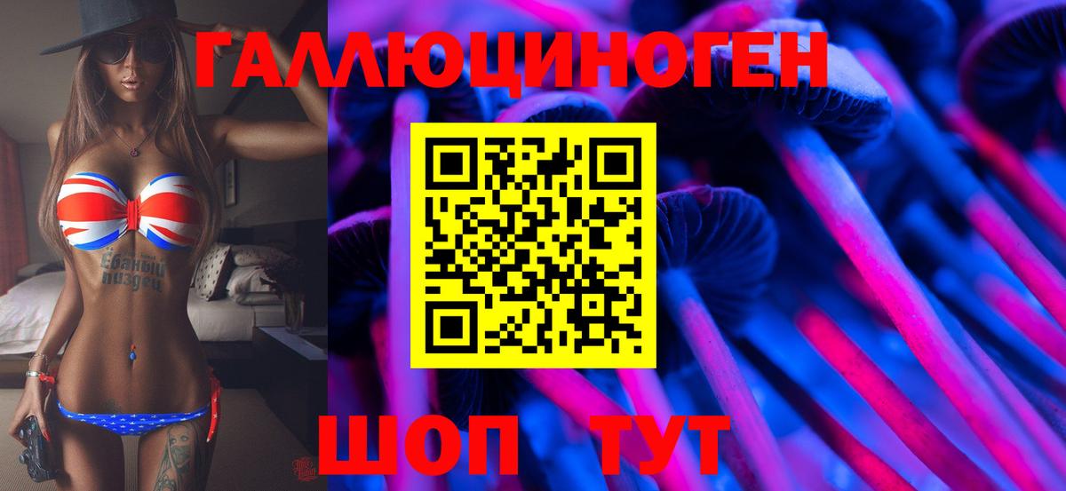Галлюциногенные грибы Magic Shrooms  Псилоцибиновые грибы MAGIC MUSHROOMS  Камышин  купить  сайты  Вход с VPN 