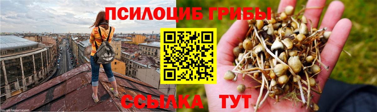 Псилоцибиновые грибы Magic Shrooms Камышин