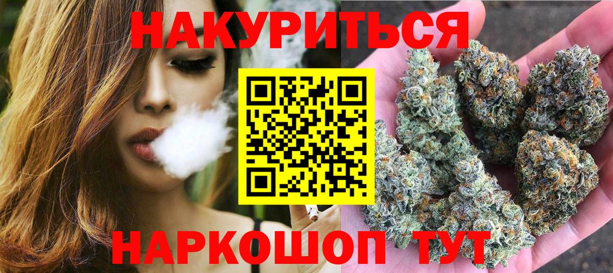 Бошки Шишки план Камышин